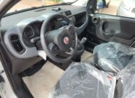 Fiat Panda 1.0 FireFly Hybrid City Life
