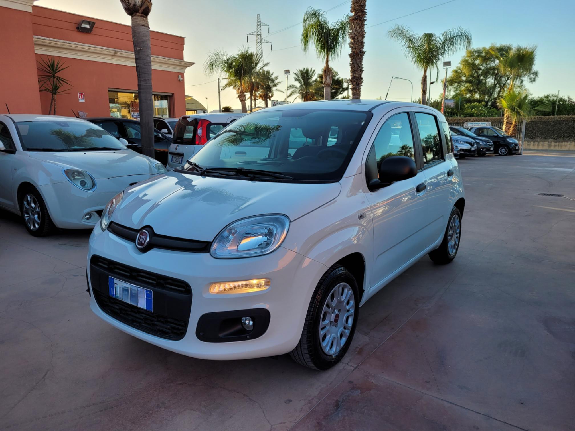 Fiat Panda 1.2 69Cv Easy