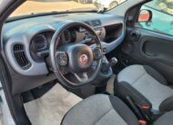Fiat Panda 1.2 69Cv Lounge