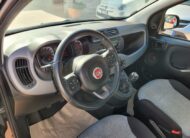 Fiat Panda 1.2 69Cv lounge