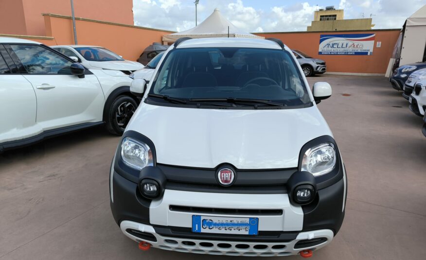 Fiat Panda Cross 1.0 FireFly S&S Hybrid