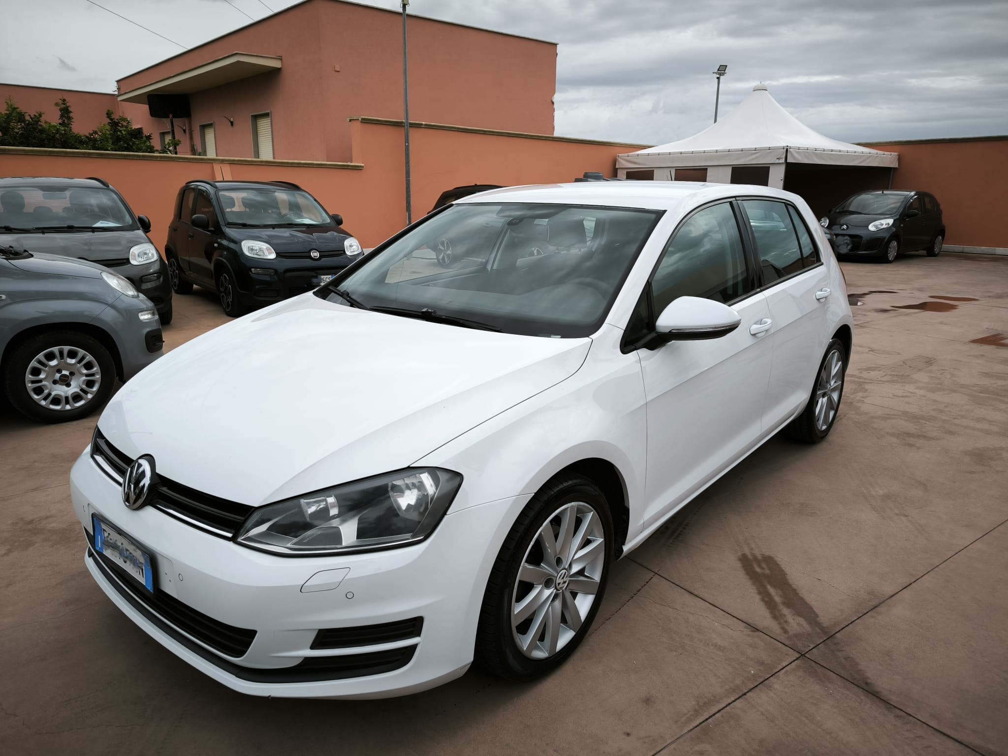Volkswagen Golf 1.6 TDI 5p. Comfortline BlueMotion Technology