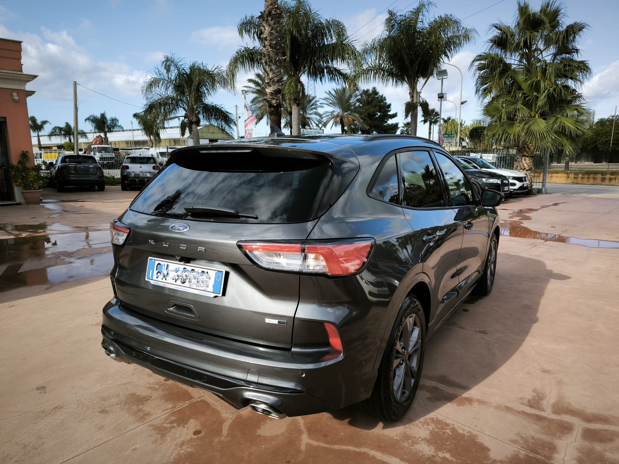 Ford Kuga 2.0 EcoBlue Hybrid 150 CV 2WD ST-Line