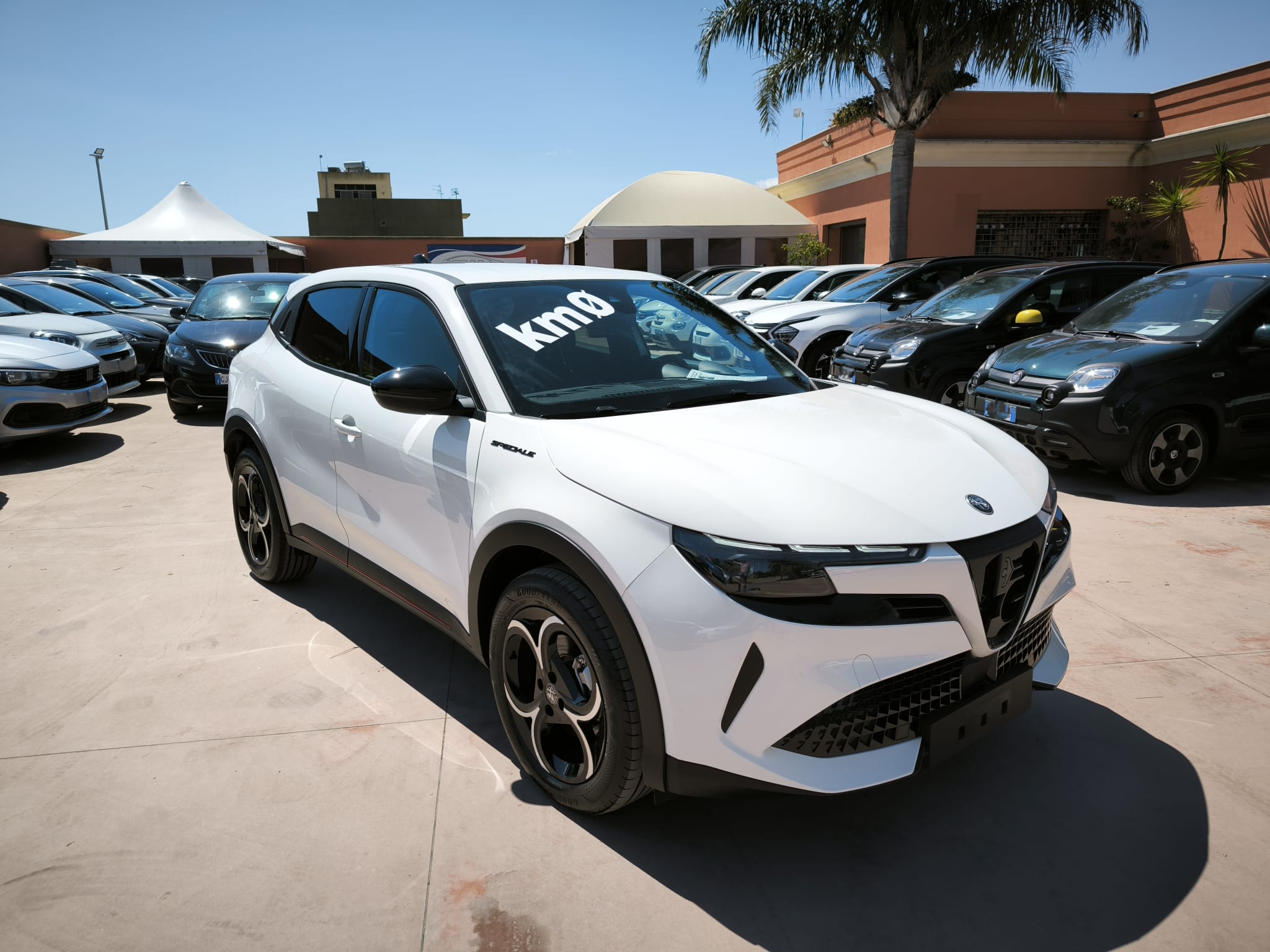 Alfa Romeo Junior 1.2 145 CV Hybrid eDCT6 Speciale
