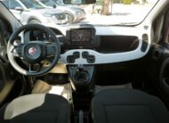 Fiat Panda 1.0 FireFly S&S Hybrid Pandina