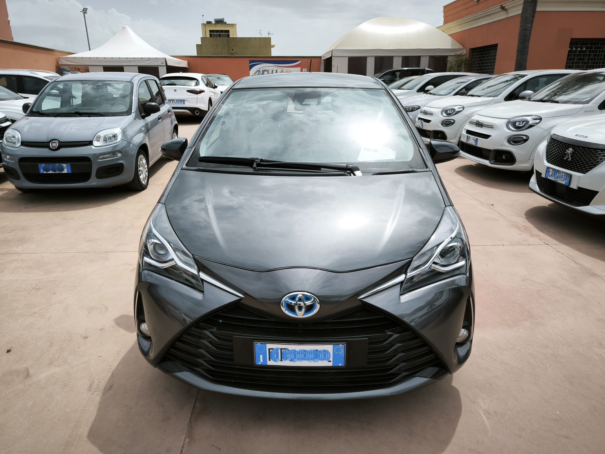 Toyota Yaris 1.5 Hybrid 5 porte Business