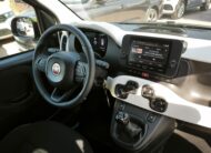 Fiat Panda 1.0 FireFly S&S Hybrid Pandina