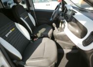 Fiat Panda 1.0 FireFly S&S Hybrid Pandina