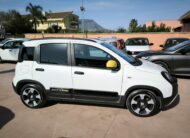 Fiat Panda 1.0 FireFly S&S Hybrid Pandina