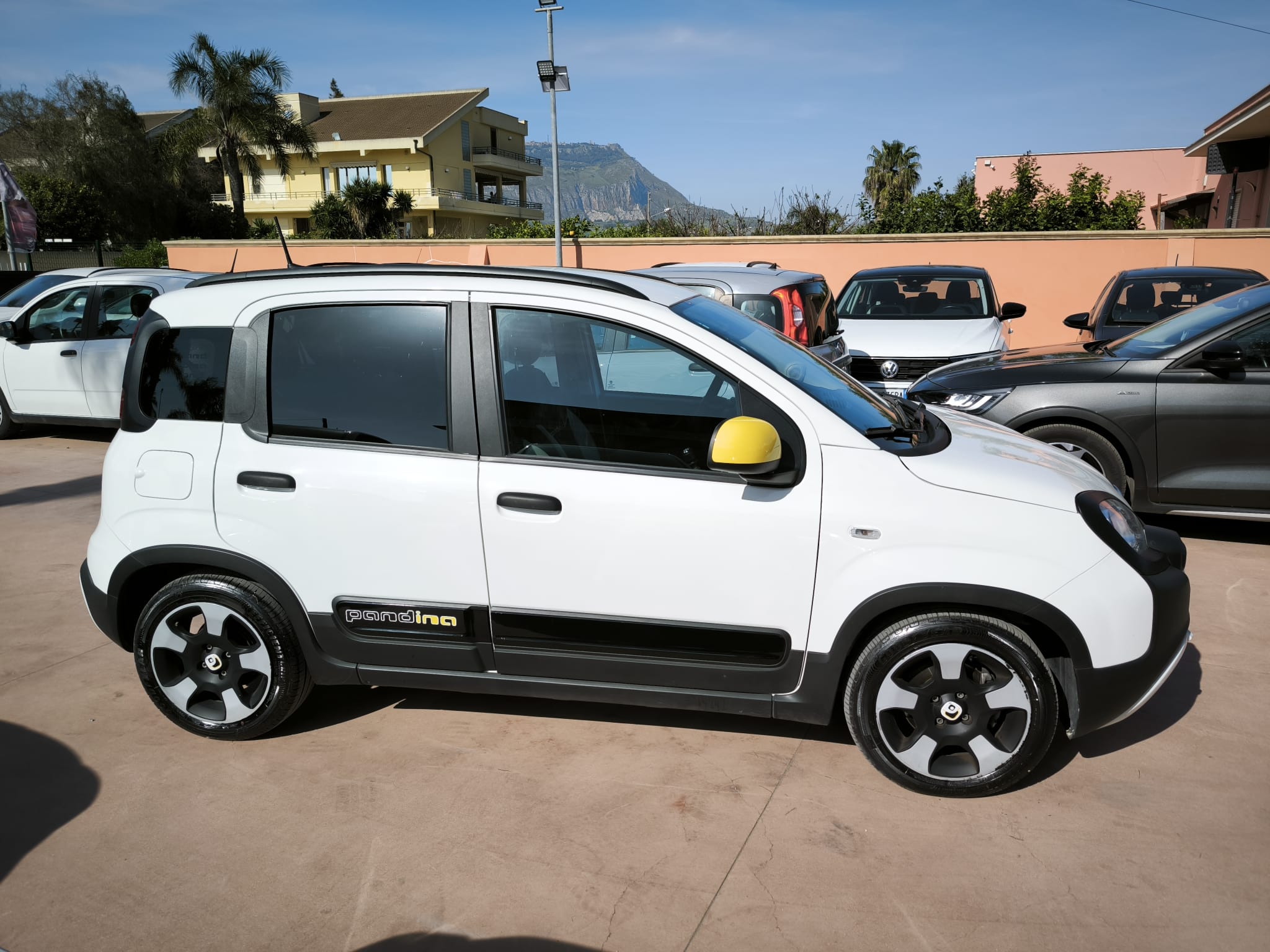 Fiat Panda 1.0 FireFly S&S Hybrid Pandina