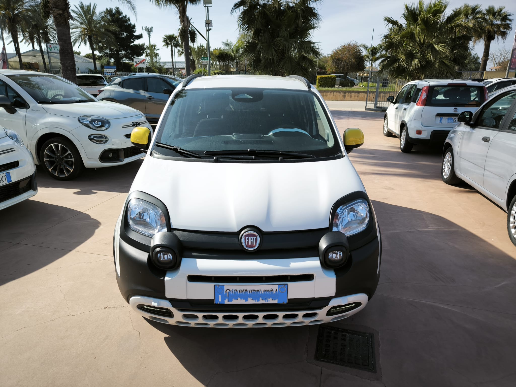 Fiat Panda 1.0 FireFly S&S Hybrid Pandina