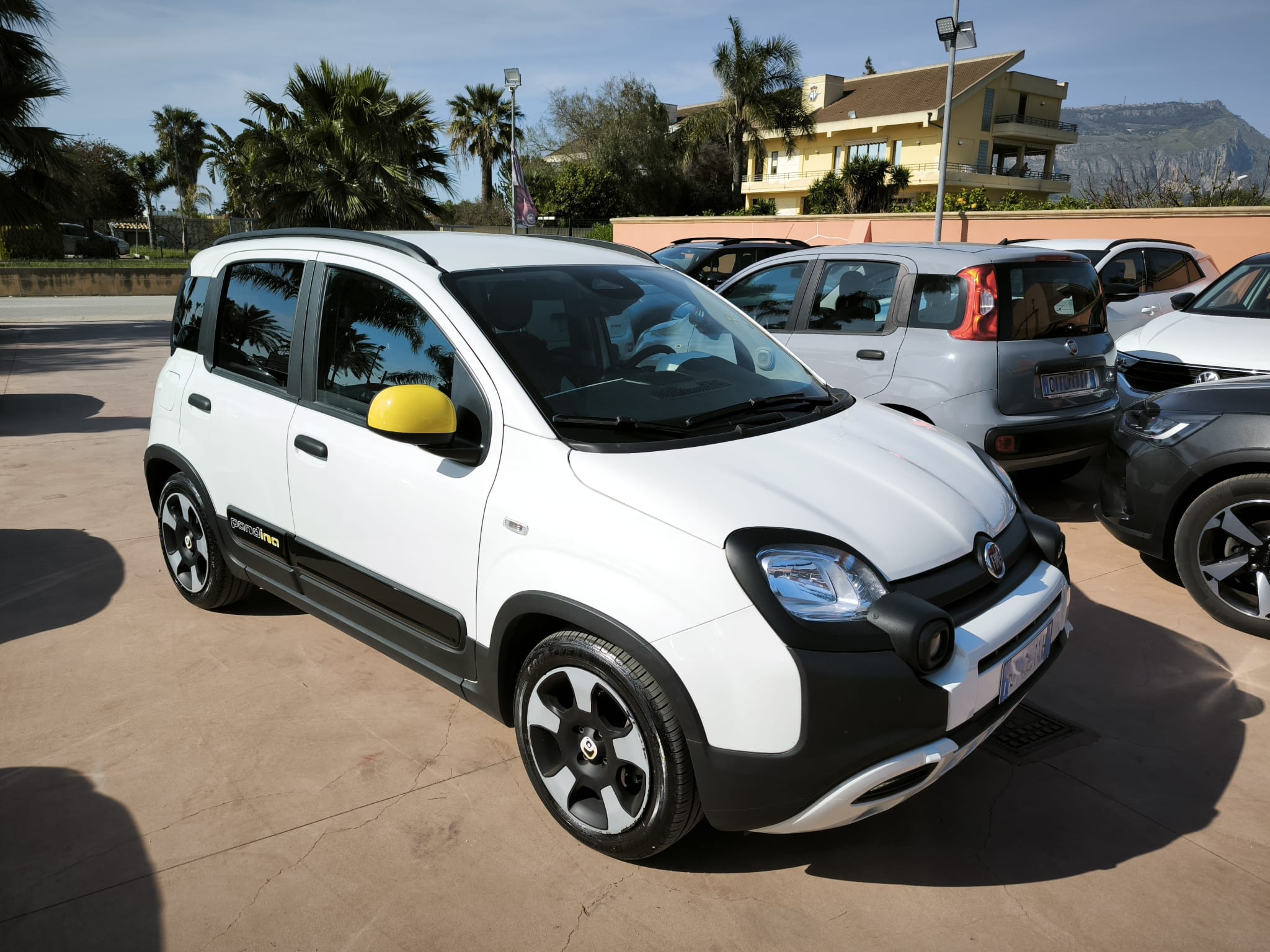 Fiat Panda 1.0 FireFly S&S Hybrid Pandina