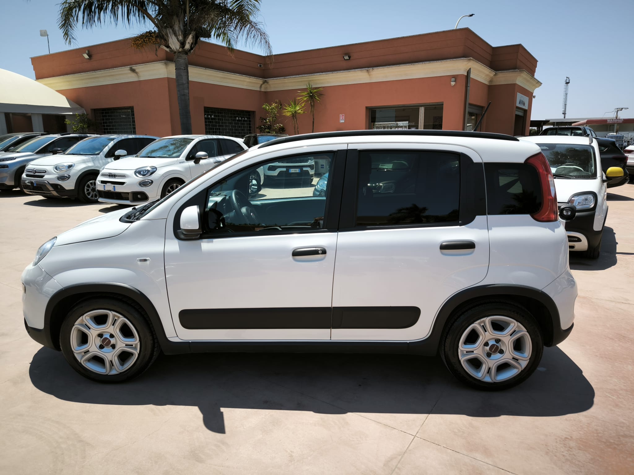 Fiat Panda 1.0 FireFly S&S Hybrid City Life