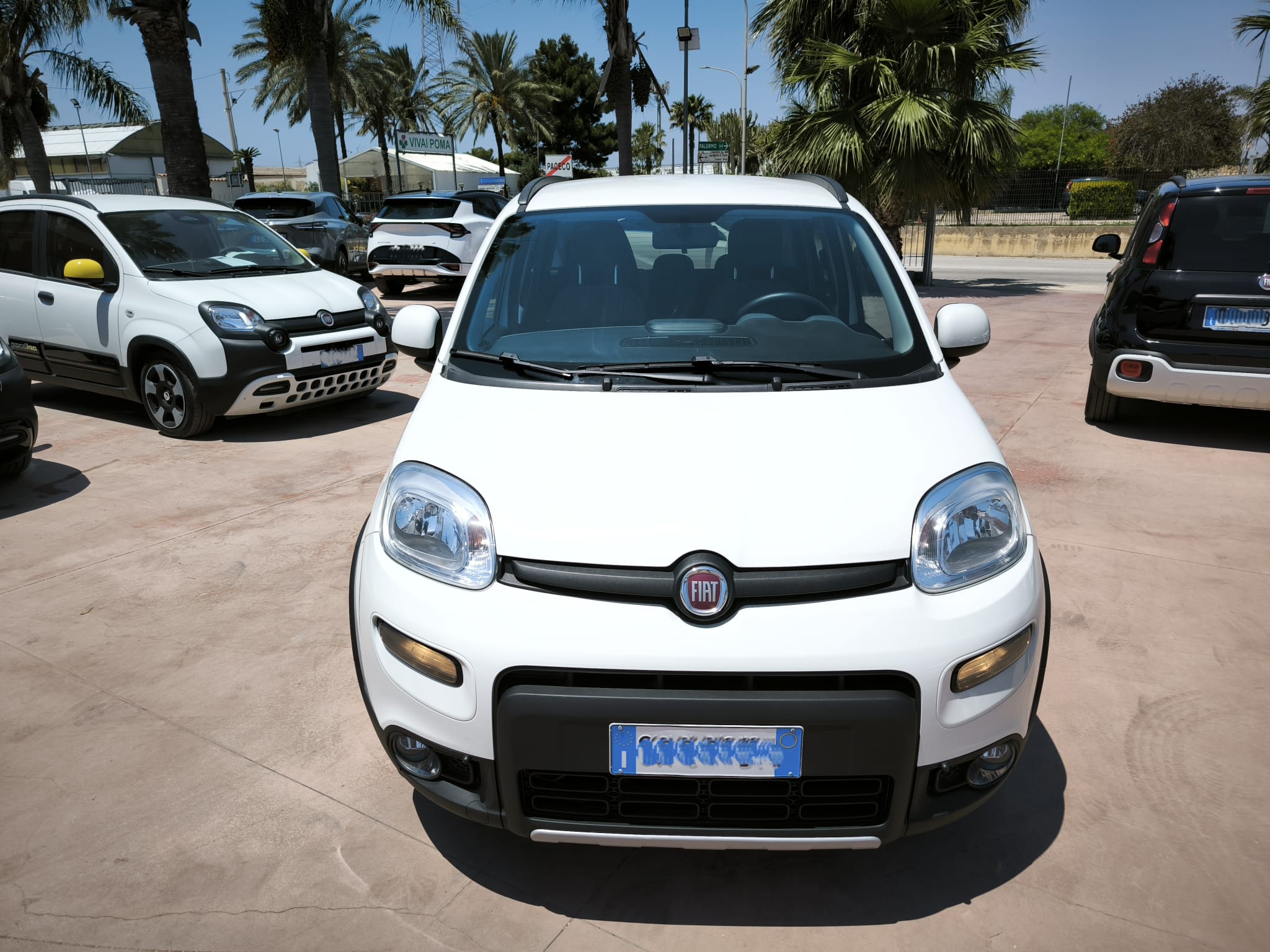 Fiat Panda 1.0 FireFly S&S Hybrid City Life