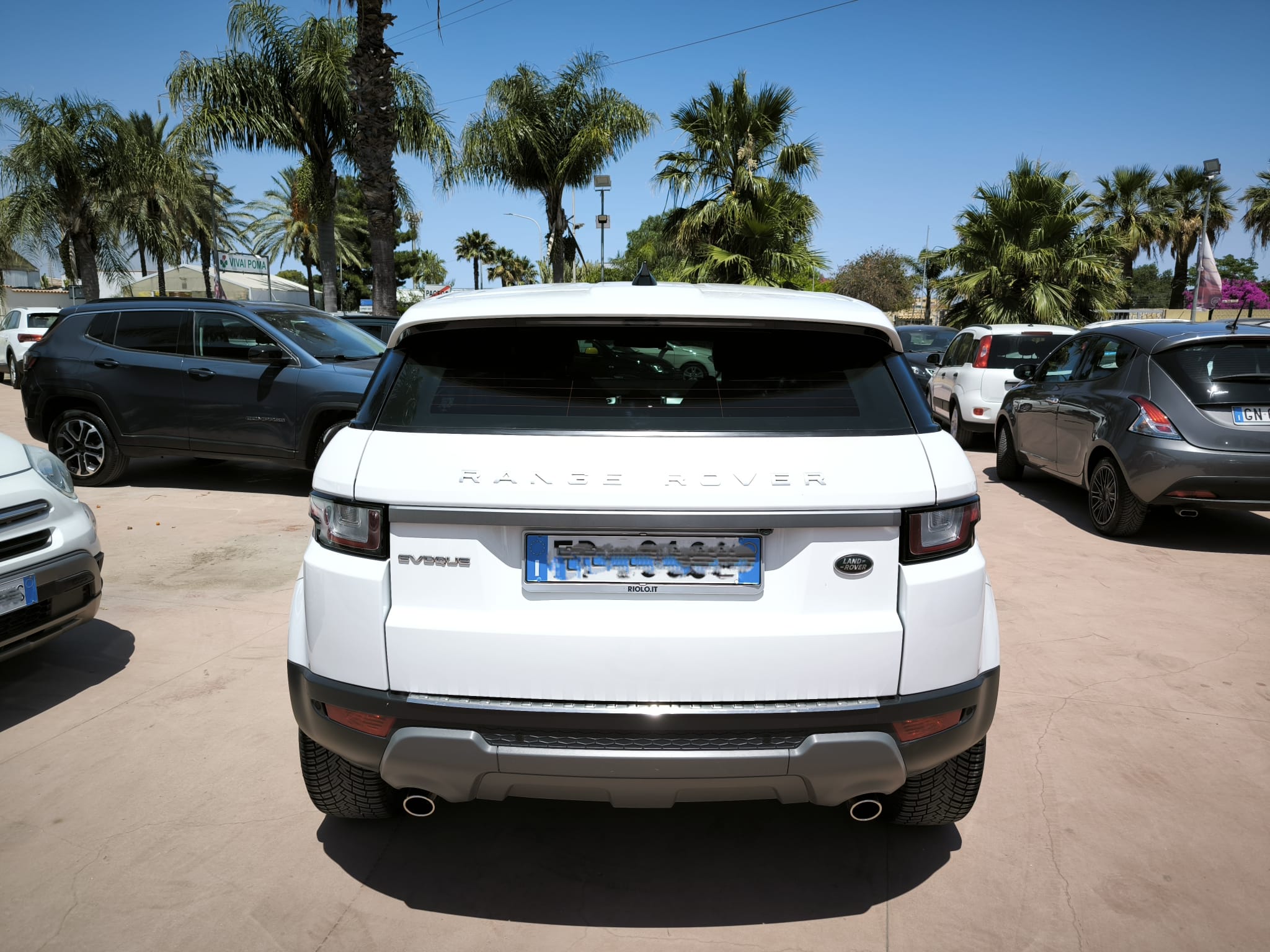 Land Rover Range Evoque 2.0 TD4 150 CV 5p. Pure